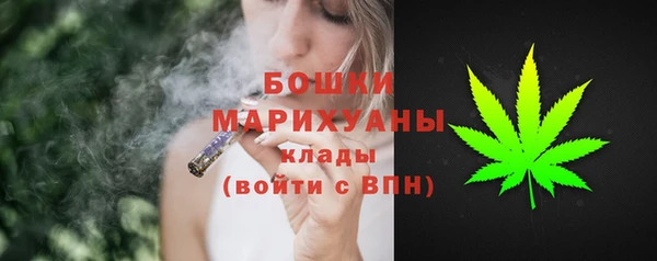 ГАЛЛЮЦИНОГЕННЫЕ ГРИБЫ Магадан