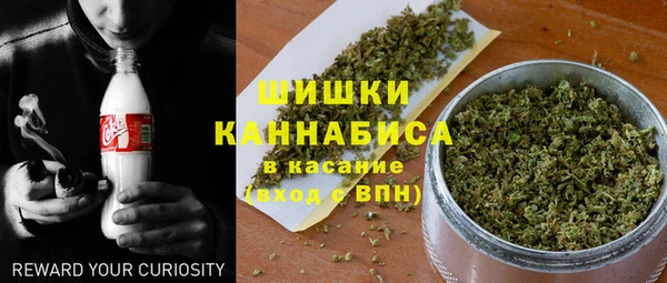ПСИЛОЦИБИНОВЫЕ ГРИБЫ Майский