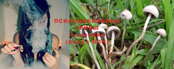 ПСИЛОЦИБИНОВЫЕ ГРИБЫ Майский