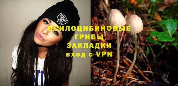 ПСИЛОЦИБИНОВЫЕ ГРИБЫ Майский