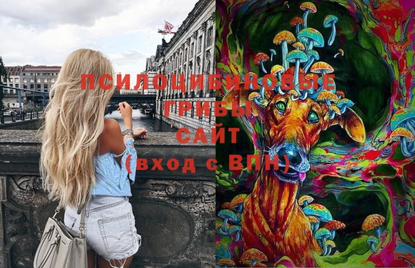 ГАЛЛЮЦИНОГЕННЫЕ ГРИБЫ Магадан