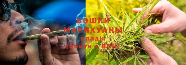 ГАЛЛЮЦИНОГЕННЫЕ ГРИБЫ Магадан